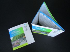 Local Enterprise Office (LEO) Limerick & Limerick City Enterprise Board (LCEB) – Print Design