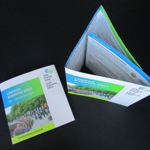 Local Enterprise Office (LEO) Limerick & Limerick City Enterprise Board (LCEB) – Print Design