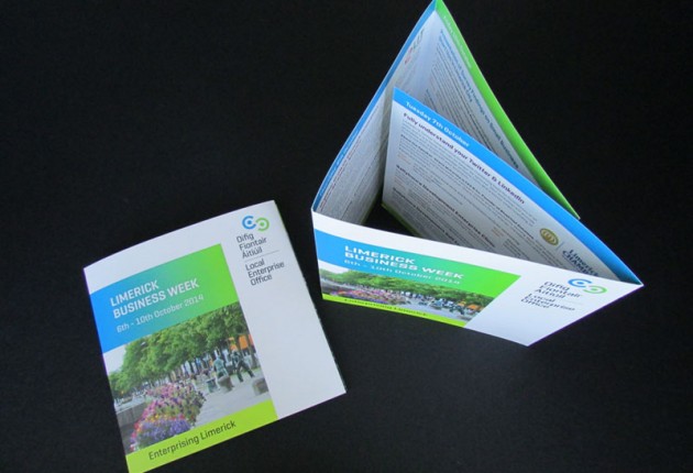 Local Enterprise Office (LEO) Limerick & Limerick City Enterprise Board (LCEB) – Print Design