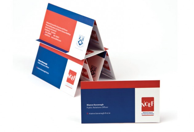 NCEF National Council for Exercise & Fitness, Accredited by the University of Limerick – Branding