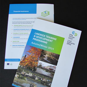 Local Enterprise Office (LEO) Limerick & Limerick City Enterprise Board (LCEB) – Print Design