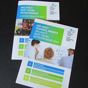 Local Enterprise Office (LEO) Limerick & Limerick City Enterprise Board (LCEB) – Print Design