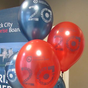 Local Enterprise Office (LEO) Limerick & Limerick City Enterprise Board (LCEB) – Print Design