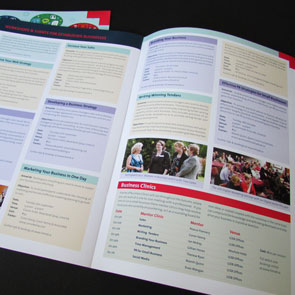 Local Enterprise Office (LEO) Limerick & Limerick City Enterprise Board (LCEB) – Print Design